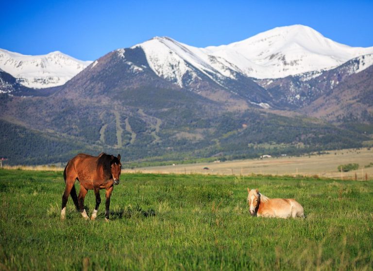 Home Westcliffe Home Custer County, Colorado
